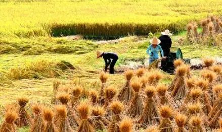 活在當(dāng)下，讓我獲得了發(fā)自內(nèi)心的平和與喜悅