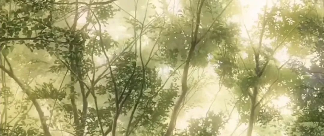 為什么會害怕別人夸獎我？