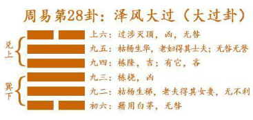 諾伊曼：易經(jīng)是有求必應，夢則會趨于沉默