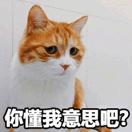性格色彩是科學還是算命