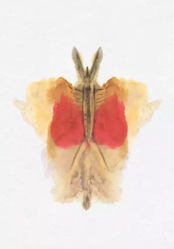 心理學(xué)網(wǎng)紅「羅夏測驗(yàn)」兩張圖投射出你的另一面
