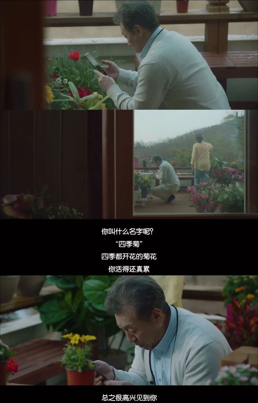 邁入老年為什么會(huì)愛(ài)上花花草草？