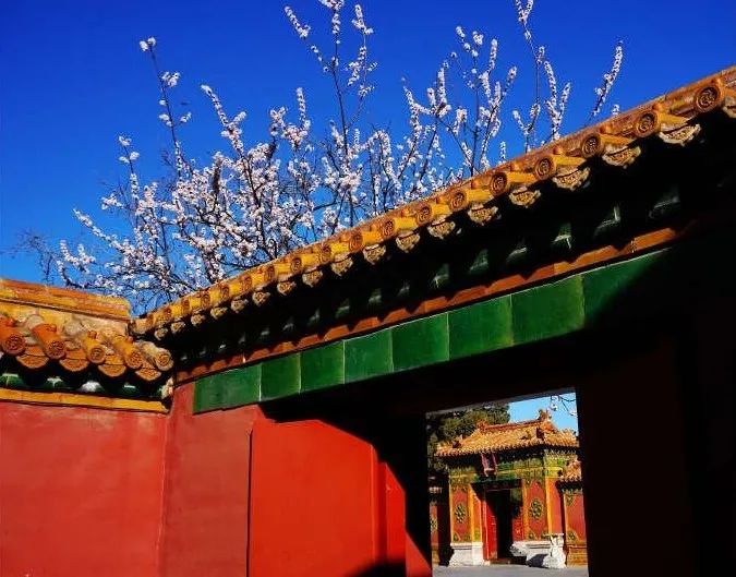 危險(xiǎn)又具有誘惑迷人的紅色，究竟有何魔力？