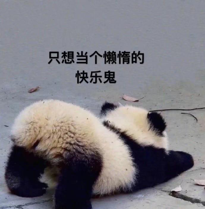 你為什么總是忍不住晚睡？