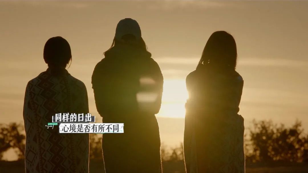 婚姻紀(jì)實(shí)觀察真人秀：王秋雨和朱雅瓊性格分析