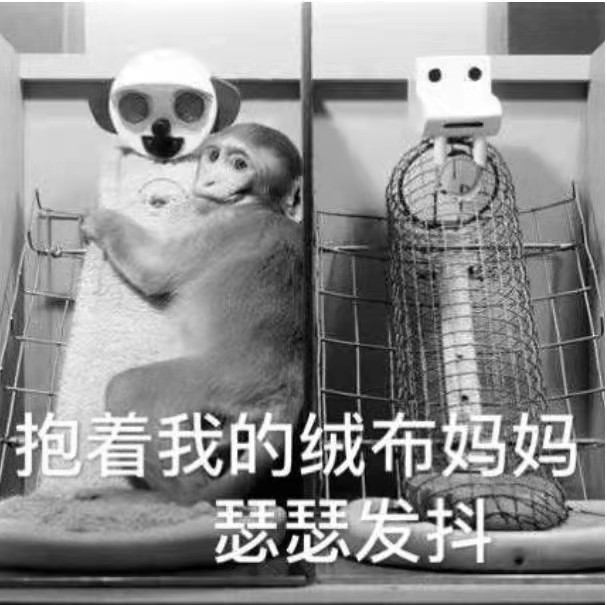 對(duì)柔軟物質(zhì)的天然依賴(lài)讓人毫無(wú)抵抗力