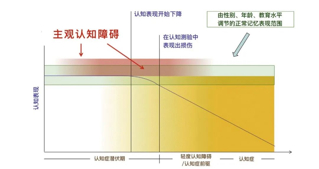 什么是主觀認知障礙？