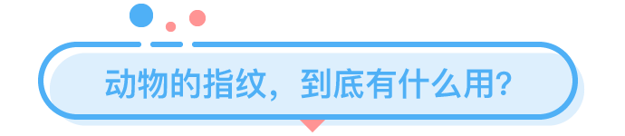 你的指紋里，竟然藏了這么多秘密？