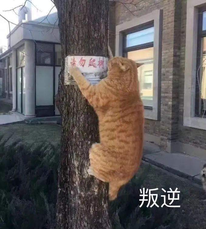 基本心理需要滿(mǎn)足對(duì)于老年人的重要性