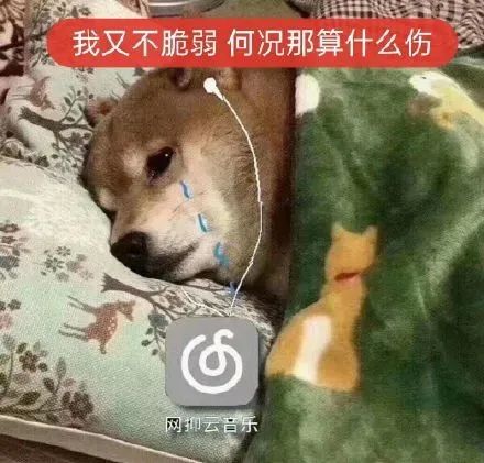 成長(zhǎng)的煩惱 | 人生最艱難的年齡段