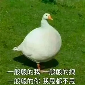 聽(tīng)了一位心理咨詢(xún)師的話，我整個(gè)人都好了