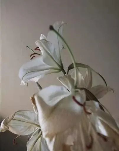 居家隔離期間如何保持良好的心態(tài)？