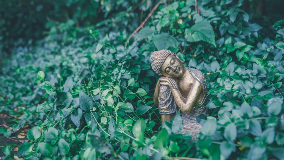 精神分析的投射性認同與佛教的因果
