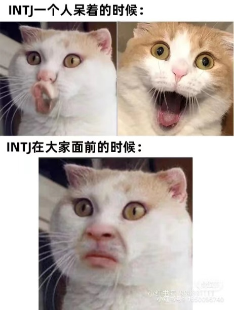 MBTI測試結(jié)果怎么看、如何解讀MBTI測試結(jié)果？