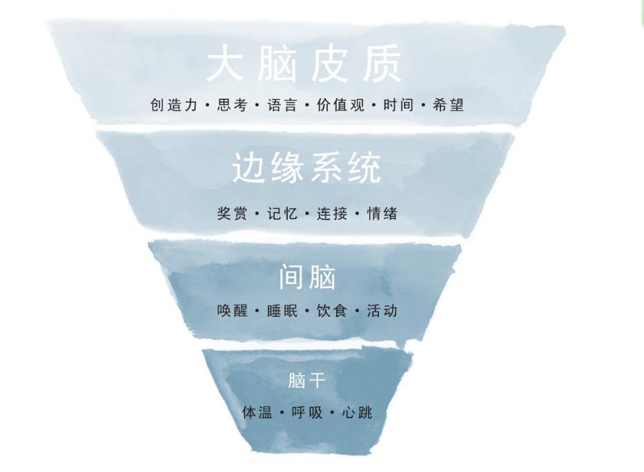 從創(chuàng)傷到療愈、創(chuàng)傷后哪些人容易出現(xiàn)心理問(wèn)題