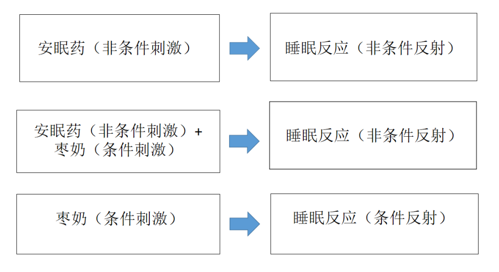 睡眠障礙：為什么會失眠、又如何改善失眠？