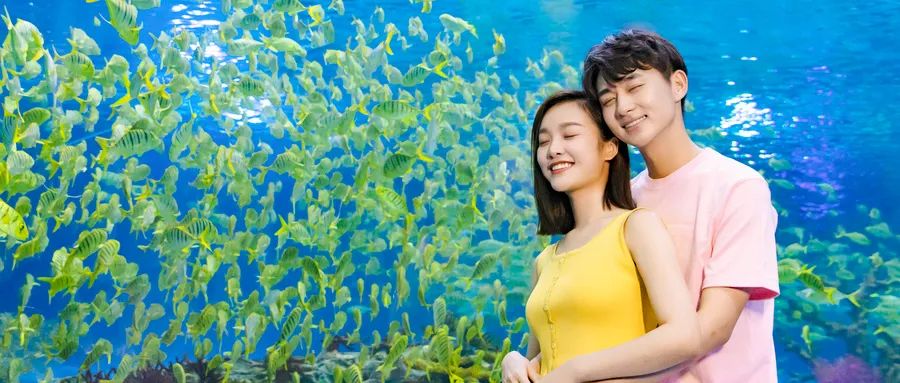 關(guān)于愛情，你必須知道的幾件事