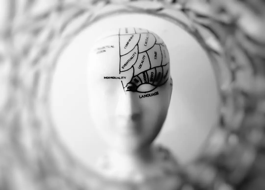 逆齡大腦：年紀(jì)輕輕，就感覺自己變笨了？