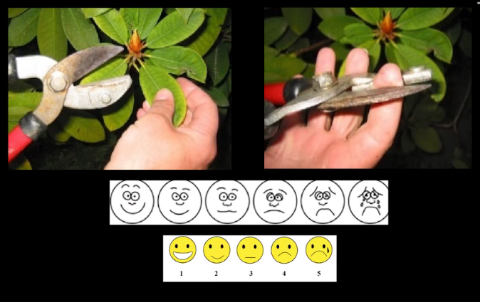 眼動地形圖、早期鑒別孤獨癥孩子的重大發(fā)現(xiàn)