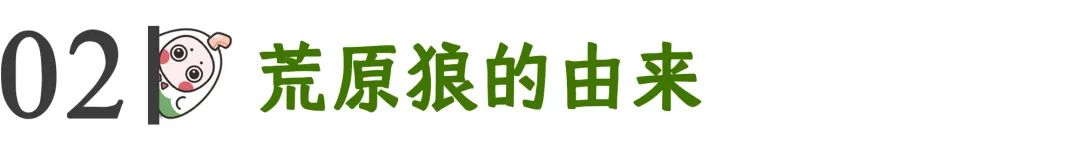 心理學(xué)好書《荒原狼》越社交，越孤獨(dú)