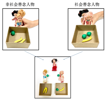 兒童社會善念理解的發(fā)展與心理理論的關系