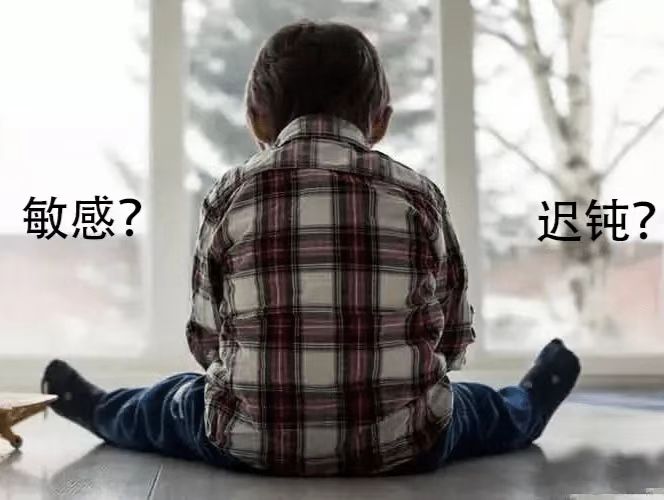 當今時代，人們更需要敏感還是遲鈍？