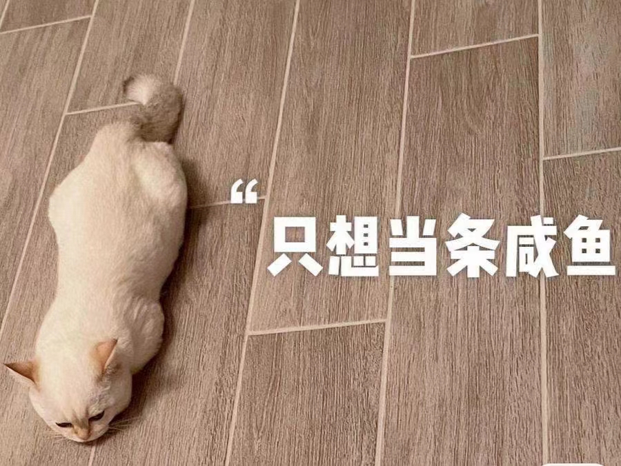 當(dāng)閑魚也是一種夢想嗎？