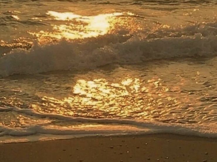 以錯(cuò)誤之溝渠，引真理之清流