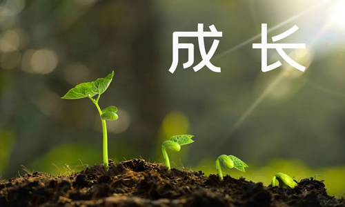 你要付出多少代價(jià)才會(huì)成長