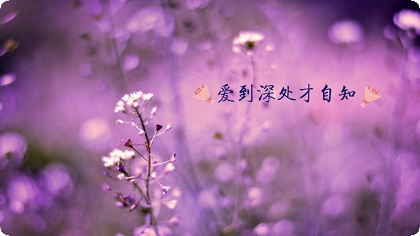 無法滿足父母的索取就是不孝順嗎？如何不被親情綁架
