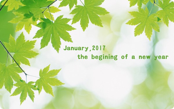 在感情中出現(xiàn)愛(ài)恨交纏該如何控制情緒？